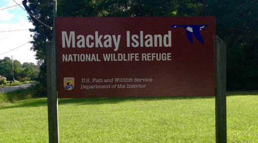 mackay island