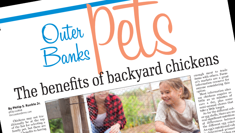 outer banks pets
